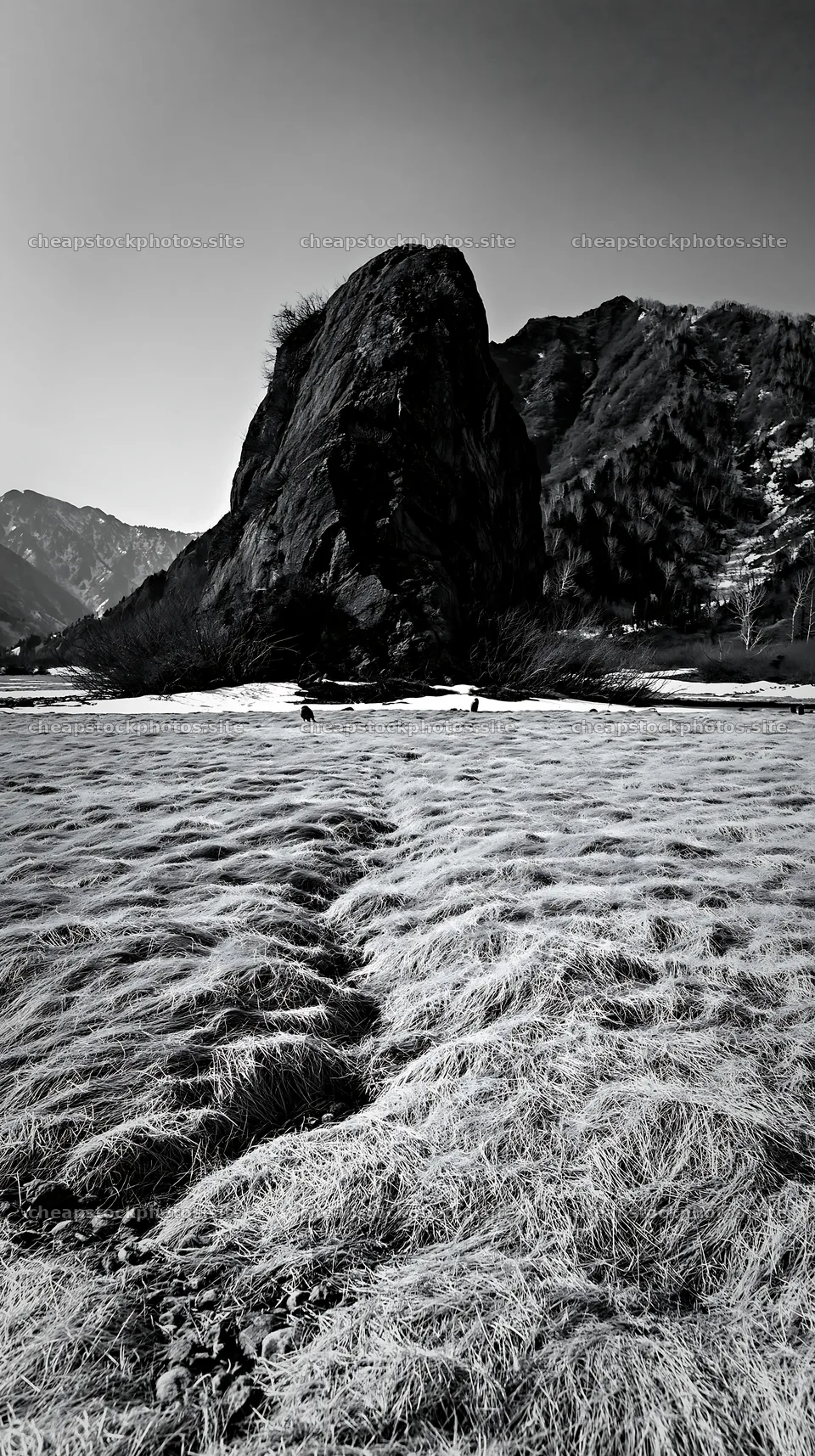 Nagano meadow with granite boulder under drought conditions – stock photos 5938x10608
