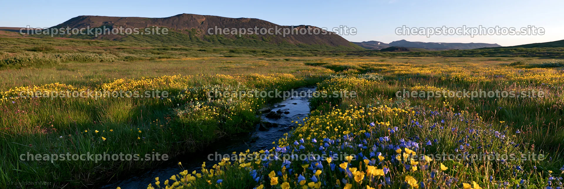 High contrast brook meadow with colorful flowers – stock photos 13690x4602