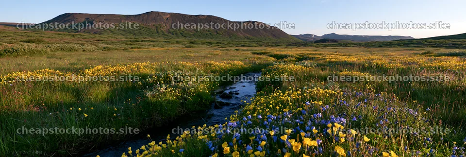 High contrast brook meadow with colorful flowers – stock photos 13690x4602
