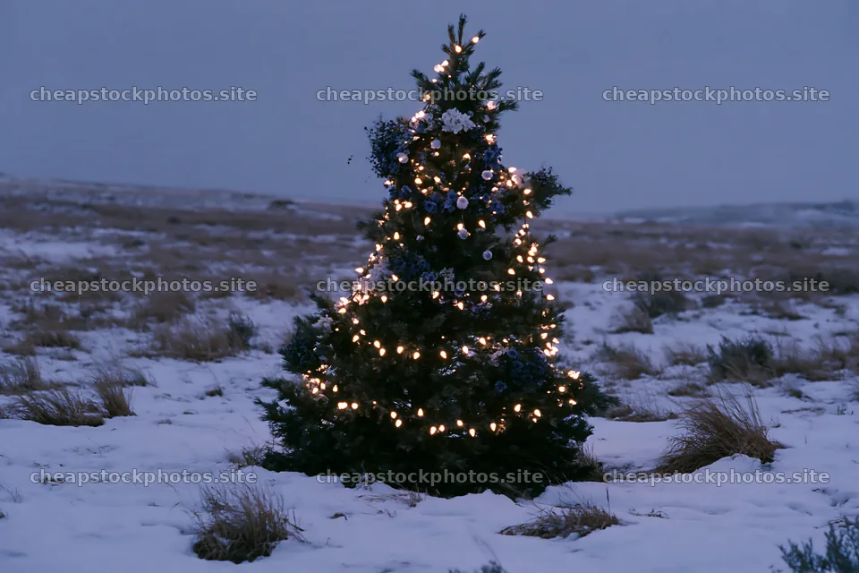 Decorated Christmas tree stands in snowy meadow at night – stock photos 9722x6480