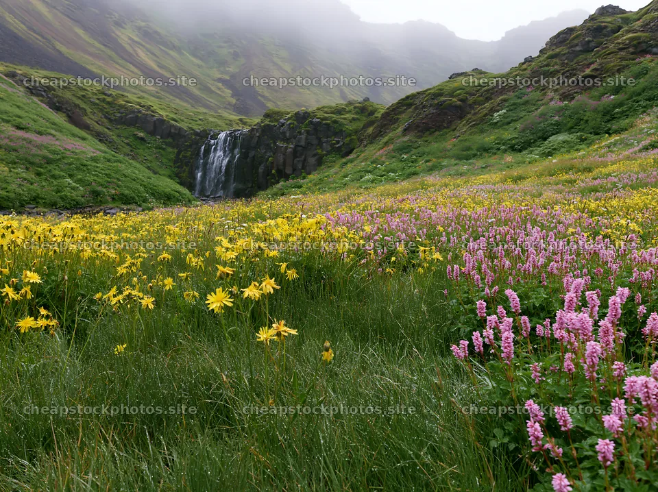Misty mountain waterfall in a meadow with wildflowers – stock photos 9174x6866