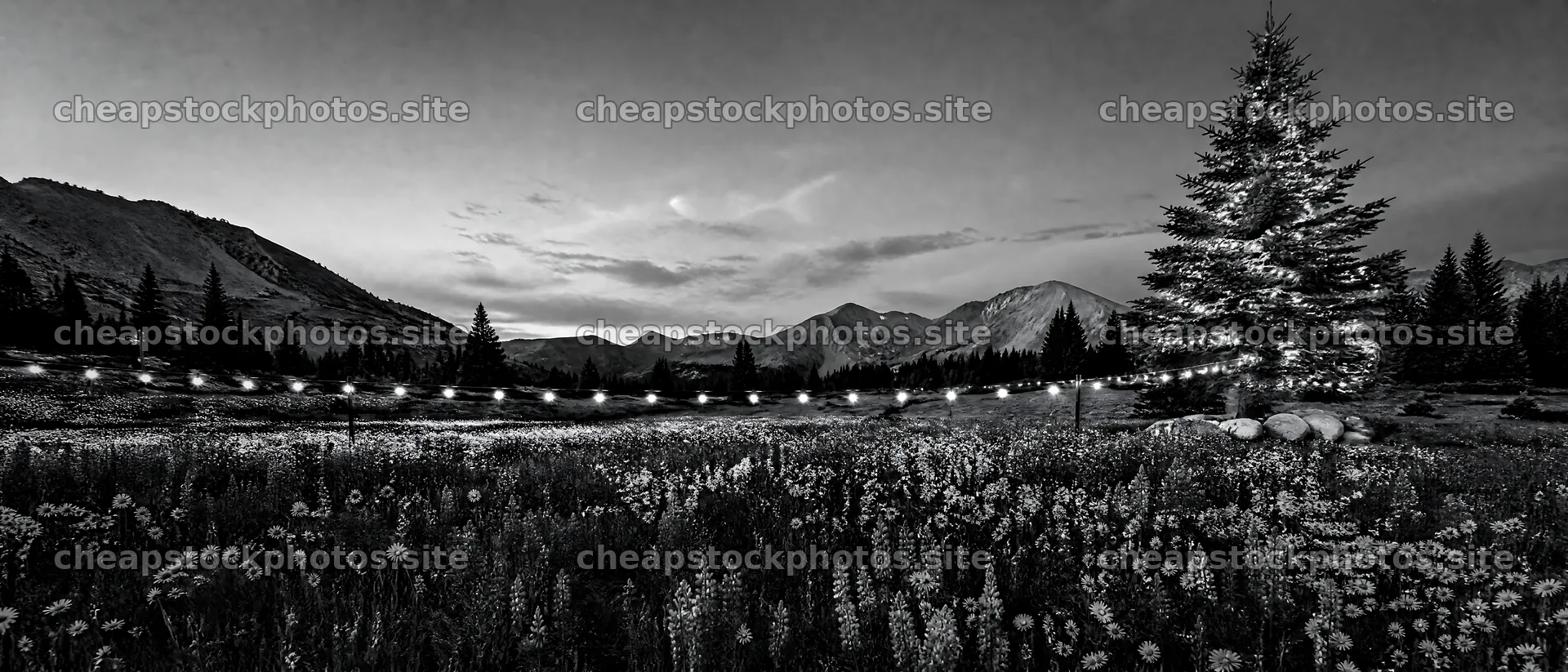Decorated Christmas tree in mountain valley meadow setting – stock photos 12124x5196