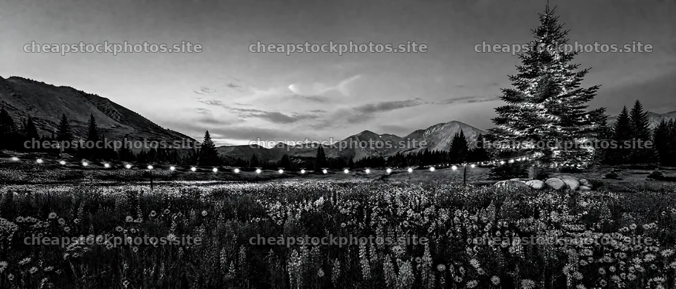 Decorated Christmas tree in mountain valley meadow setting – stock photos 12124x5196