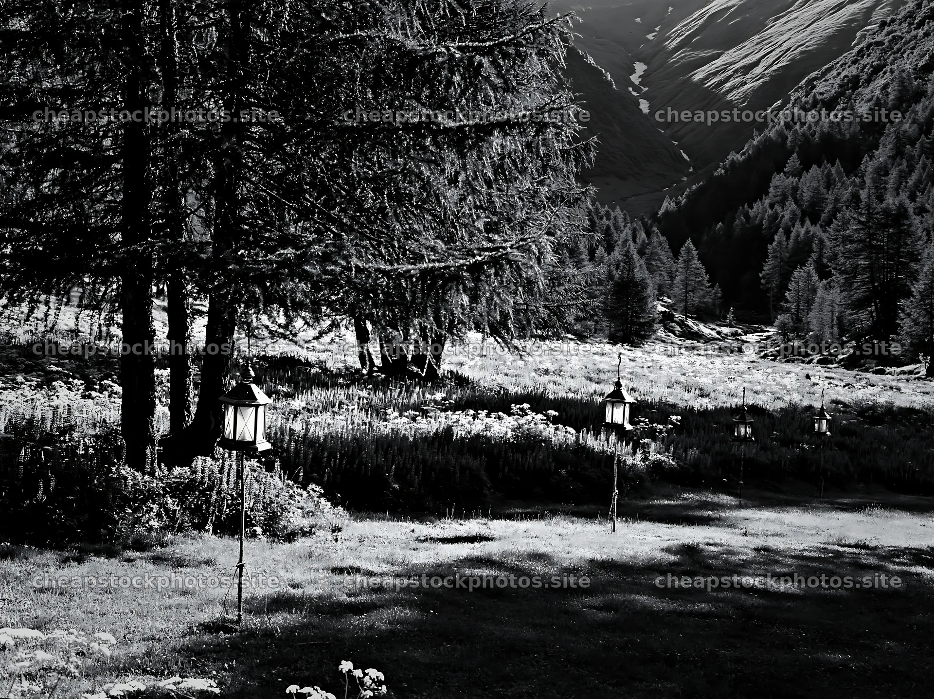 Christmas lanterns in deep valley meadow with mountain backdrop – stock photos 9174x6866